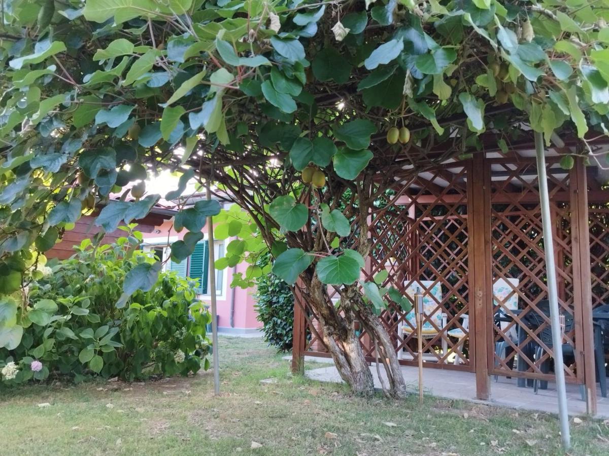 Vila La Casina Barga Exteriér fotografie